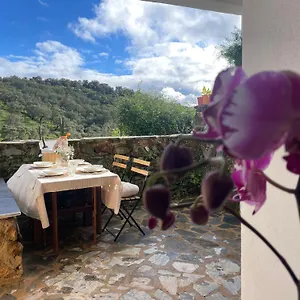 La Casa Del Pintor Сasa de vacaciones